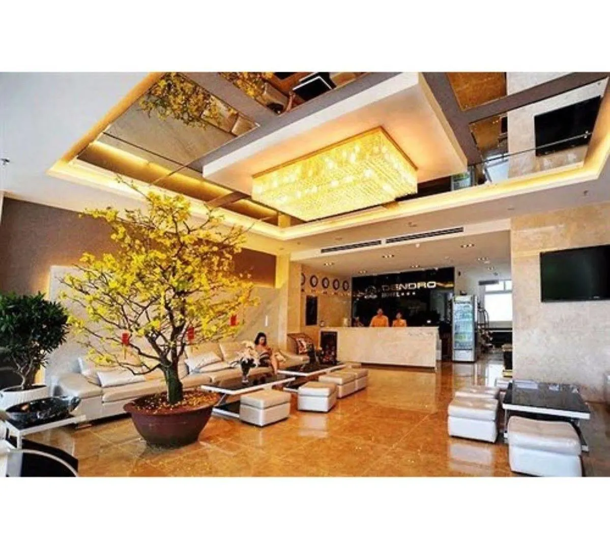 נה טראנג Dendro Beachfront Hotel 3*, נה טראנג וייטנאם
